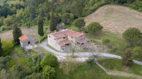 Fattoria di Cintoia